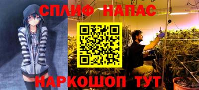 шишки Малоярославец