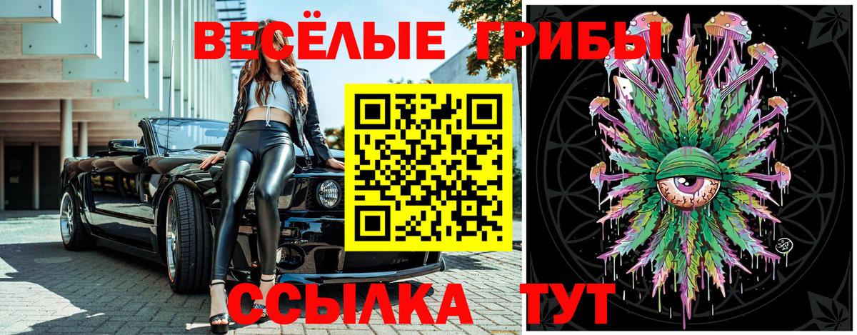 Псилоцибиновые грибы мухоморы Гуково